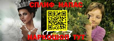эйфоретик Славгород