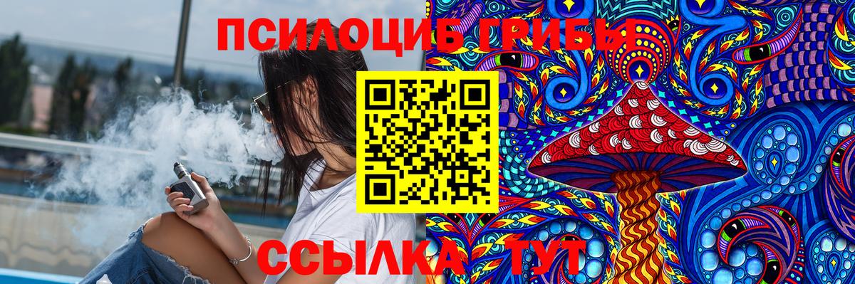 Псилоцибиновые грибы Cubensis Нефтекамск